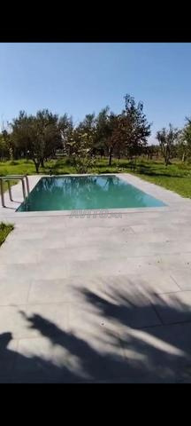 مزرعة محفظة 1 هكتار كموني آيت مالك