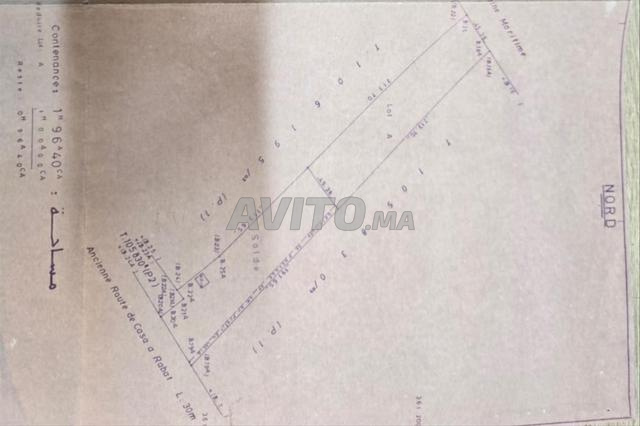 هكتار واحد مرخص قطعة أ واد شراط