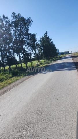 2.43 ha titré sur la route à 14 km du c.ville