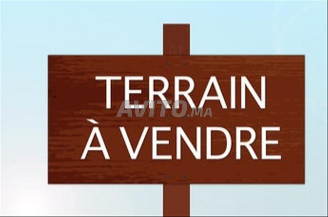 Terrain à vendre roches noires