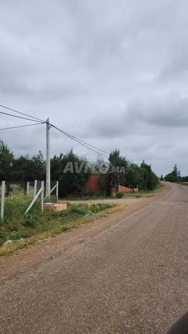 2900 متر مربع بأرض مسجلة ببنسليمان - 2