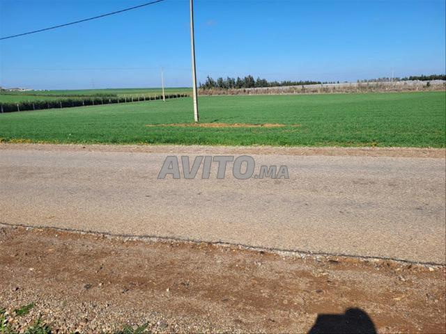 أراضٍ محفظة للبيع – بنواحي البئر الجديد - 2