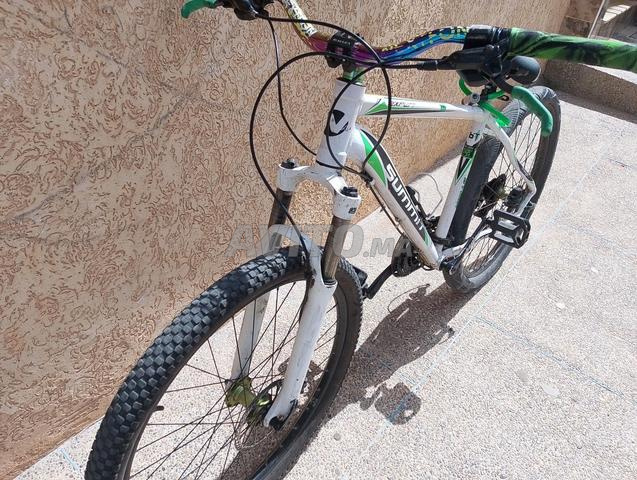 Nakamura Summit expert ❇️ - 2