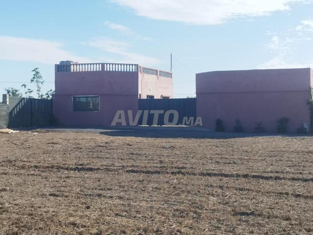 أرض فضاء 2500 متر مربع - 2