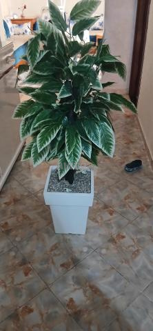 ديكور شجرة 🎄 - 2