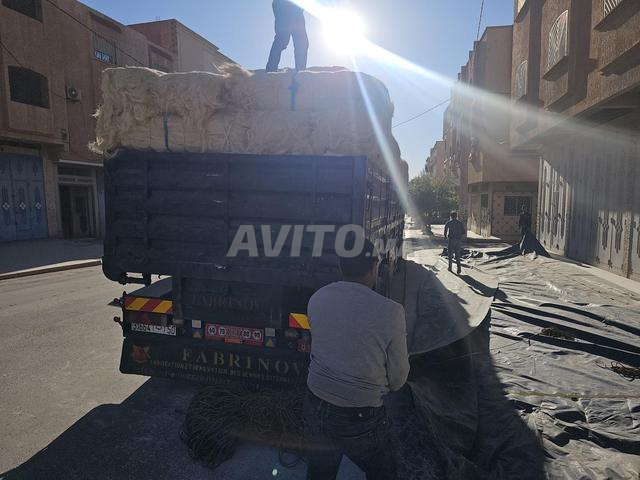 فلل / فيلاس. ألياف السيزال - 2