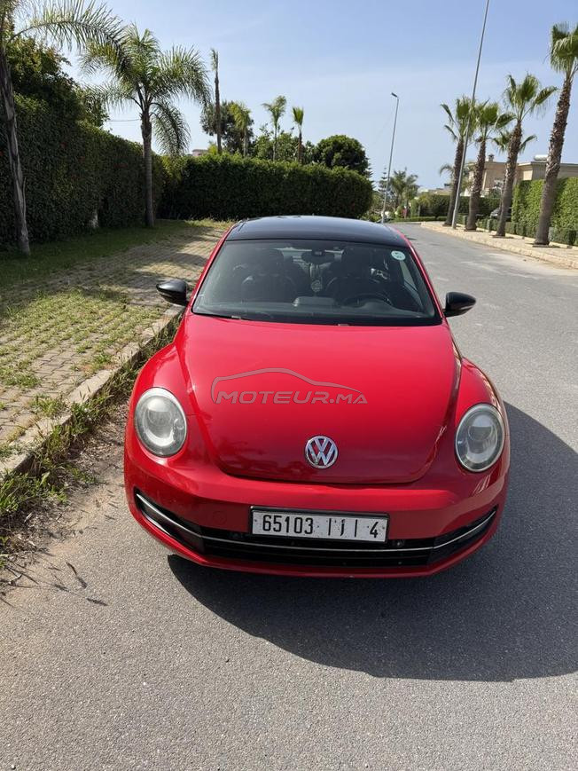 belle coccinelle rouge