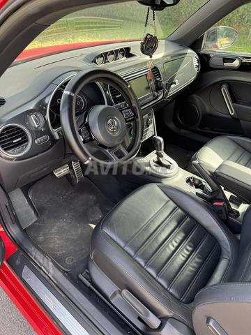 belle coccinelle rouge - 2