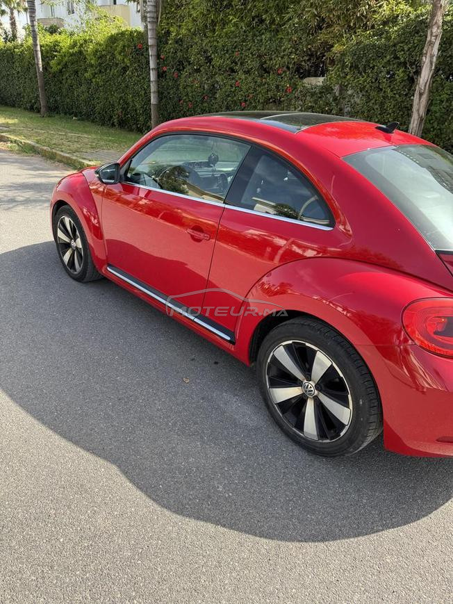 belle coccinelle rouge