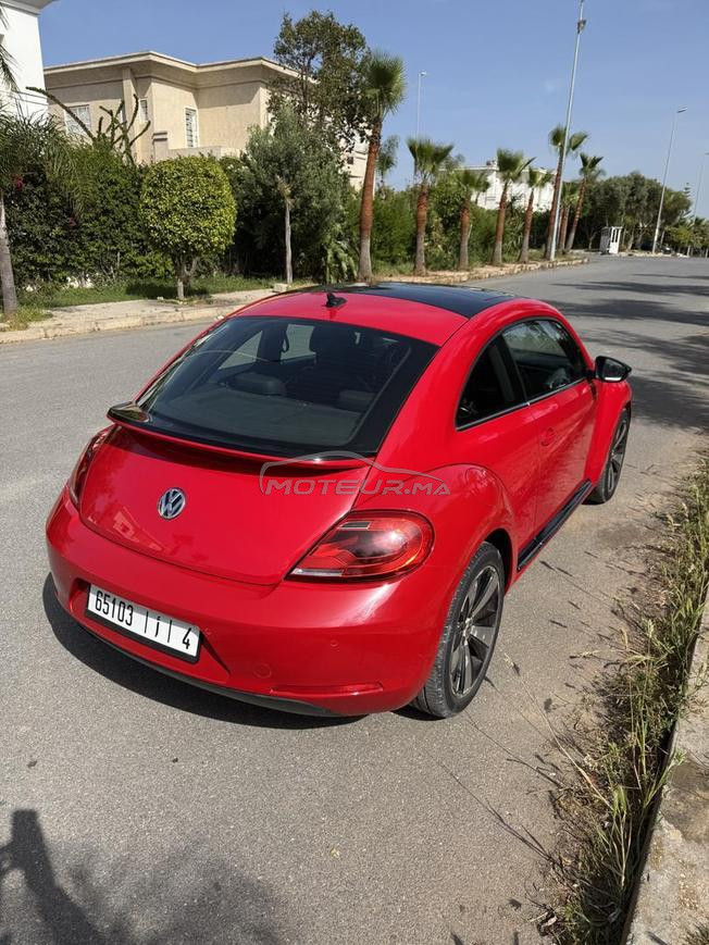 belle coccinelle rouge