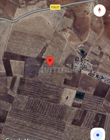 Vente terrain agricole.