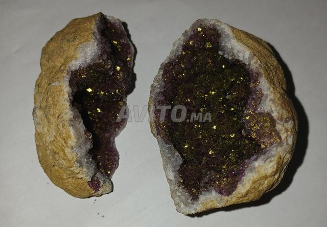 حجر جميل من البحر للبيع - 2