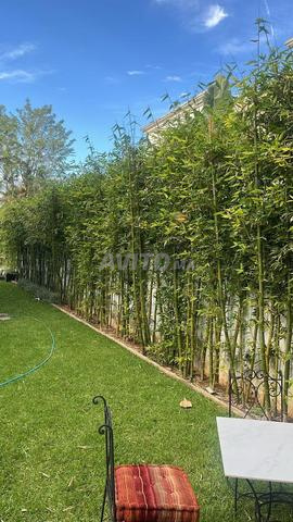 بامبو لديكور الحديقة - 2