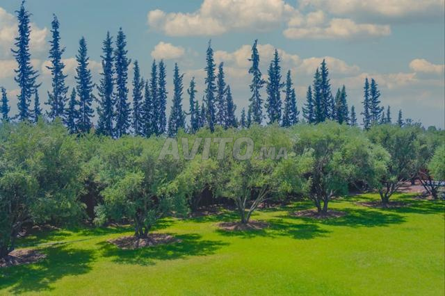 فيلا للإيجار – مراكش بالقرب من دار سكر - 2