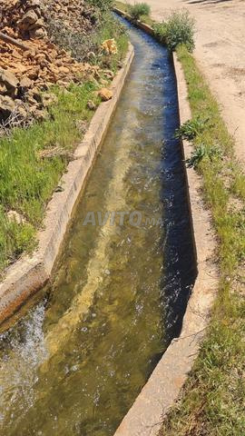 أرض فلاحية للبيع محفظة ومجهزة - 2