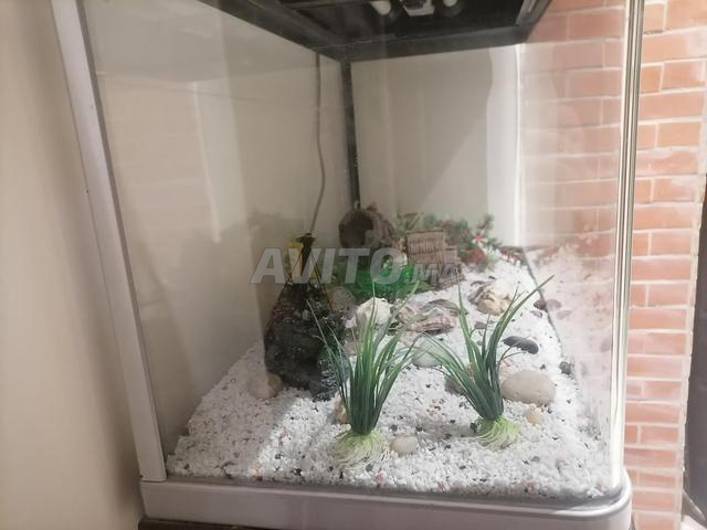 حوض سمك مع ملحقاته وخزانته - 2