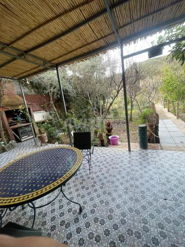 Maison d'hôtes (Ourika) - 2