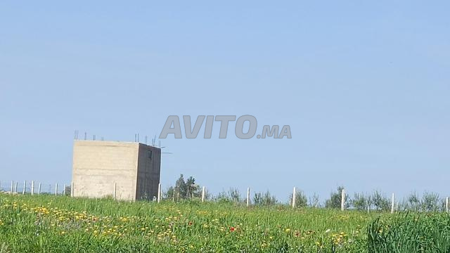 أرض زراعية - 2