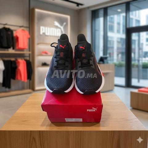 بوما الأصلي - 2