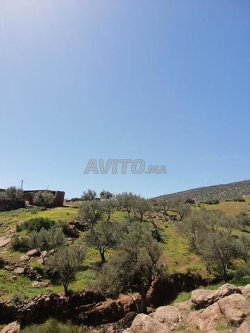 أرض للبيع - 2