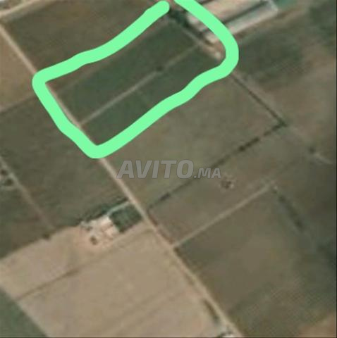 Terrain agricole et constructible à vendre - 2