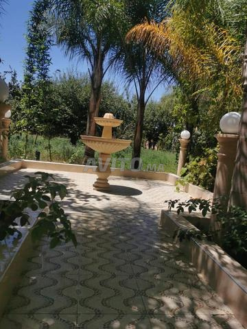 نافورة fontaine - 2