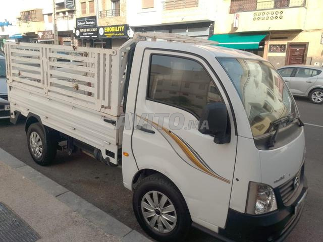 طاطا للبيع - 2