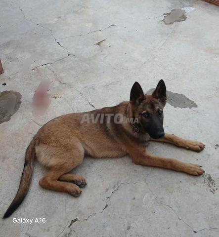 Moulay Idriss Zerhoun - 2