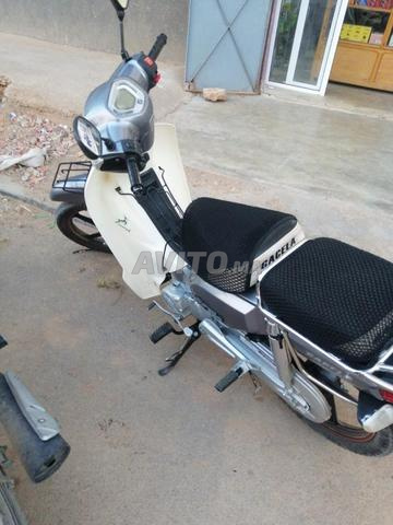 GACELA MOTO - 2