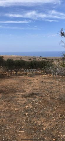 Vente terrain zone villa