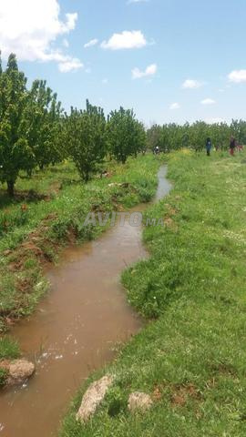 أرض فلاحية 2.3 هكتار ماء، جنان أزرو - 2