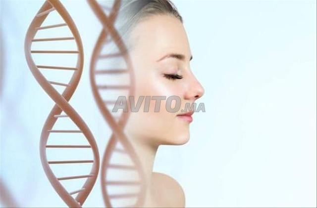 جهاز اختبار علم التخلق، رخصة وتدريب