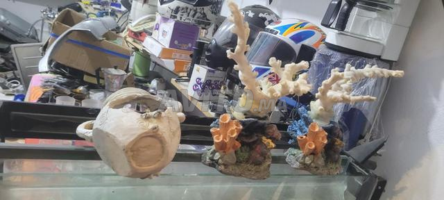 Aquarium équipé - 2