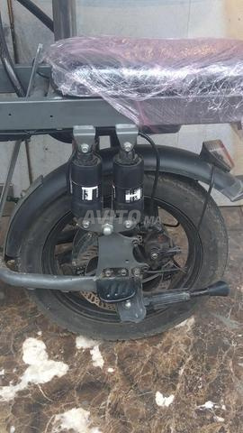 سلا. الانبعاث. - 2