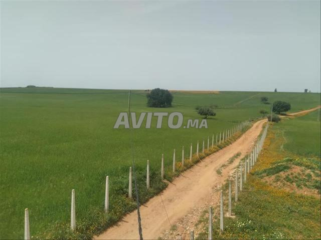 À Bir Jdid - Terrains et Fermes Titrés - 2