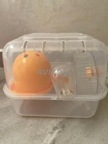 قفص هامستر - 2