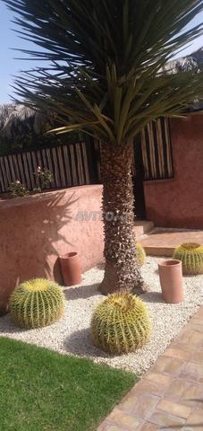 بستاني حارس فيلا يبحث عن عمل - 2