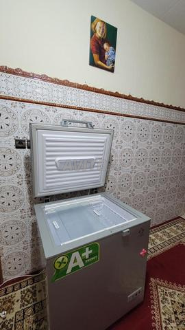 كونجيلاتور للبيع - 2