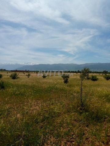 Terrain à vendre enregistré - 2