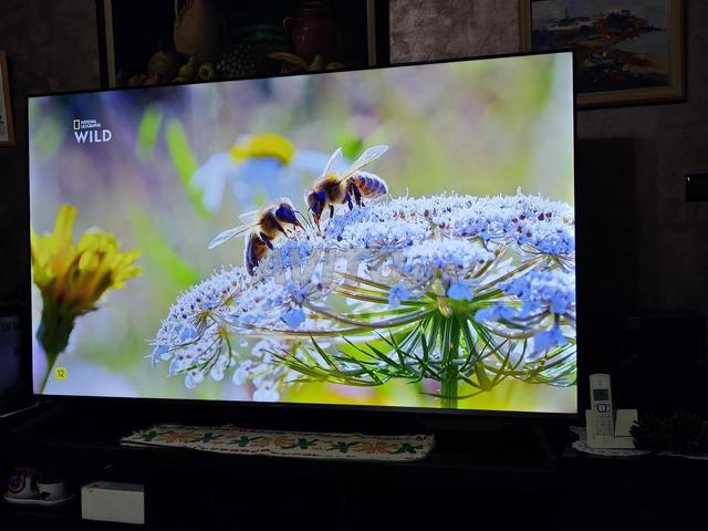 Télévision à vendre - 2