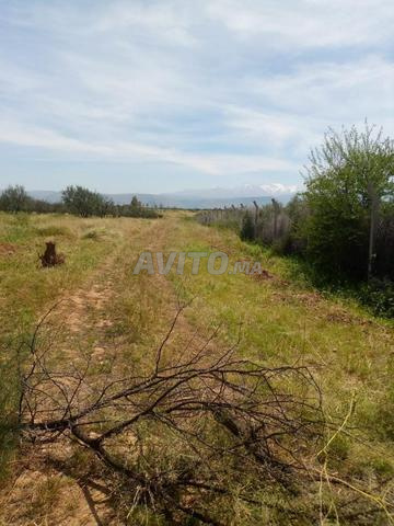 Terrain titré à vendre - 2