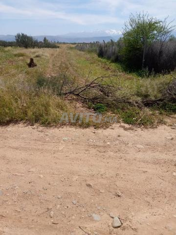 Terrain 2 hectares titré - 2