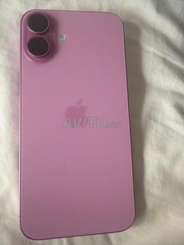 16 بلس وردي - 2