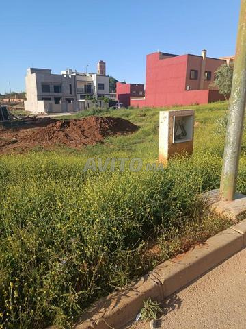 Terrain 237 m² pour Villa Jumelée (Chouka) - 2