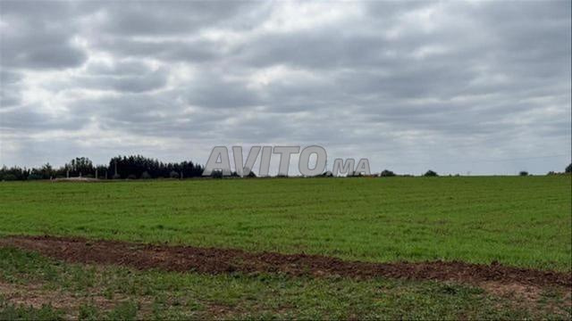 Terrains enregistrés | Sidi Rahal — Investissement sûr - 2