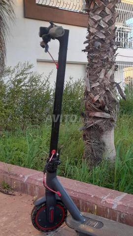 حي النخيل الفقيه بن صالح - 2