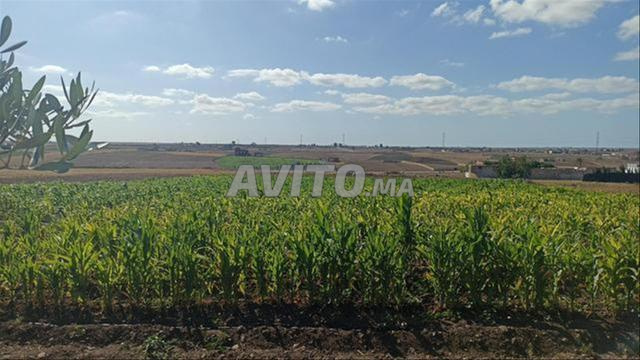 Terrains titrés à Bir Jdid pour habitation, construction et investissement