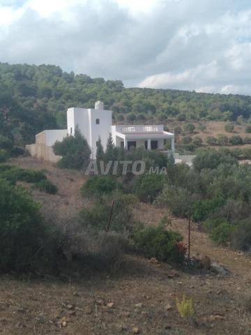 TERRAIN BIEN SITUÉ À ZINAT - 2