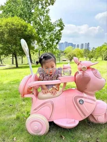 Robot électrique 12V - 2