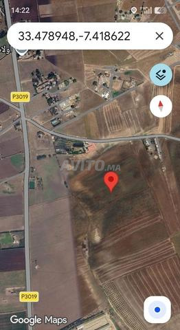 أرض ممتازة 6 هكتار نواحي مديونة - 2